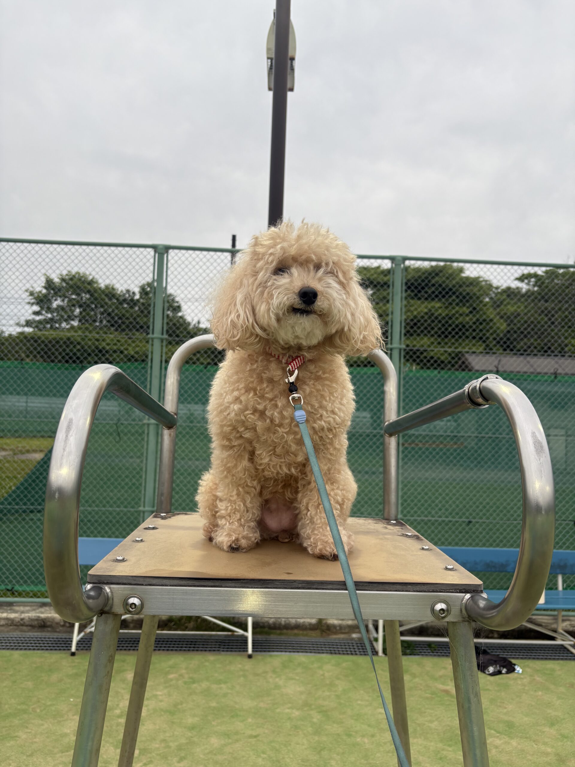 ラッちゃん
