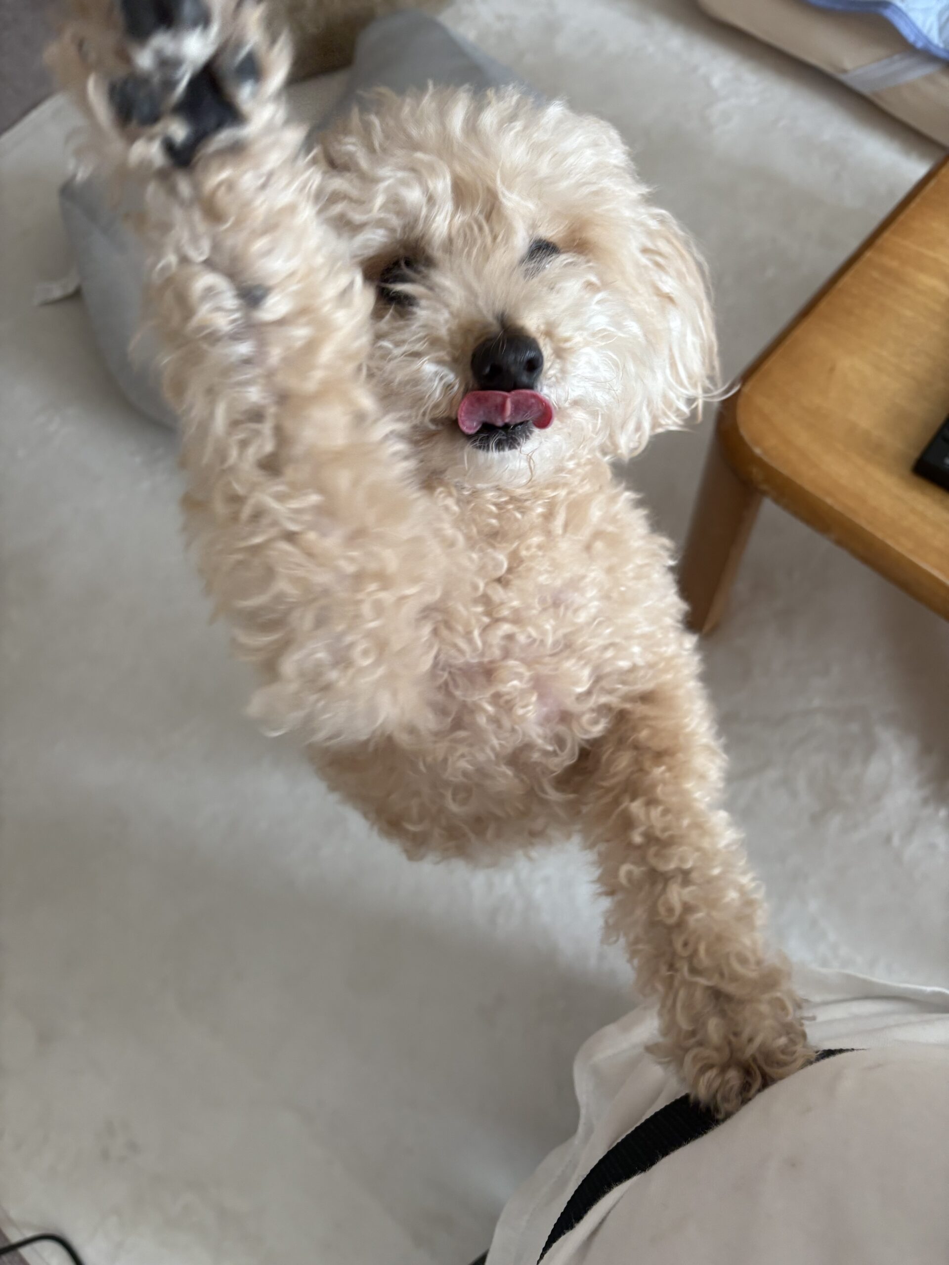 ラッちゃん