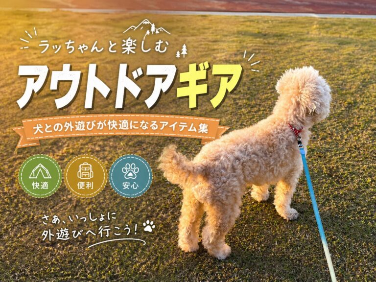 9歳トイプードルのあたちが選んだ！外遊びをもっと快適にするhinataストアのグッズ5選🐾