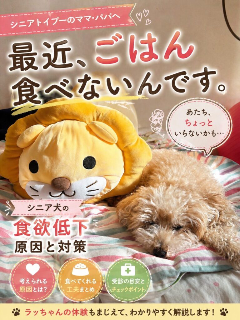 9歳になったら急に食べなくなった…シニアトイプードルの食欲不振を解決した7つの方法