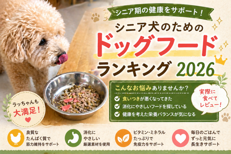 【2026年最新】シニア犬ドッグフードおすすめランキング5選｜9歳トイプードルのラッちゃんが実食レビュー