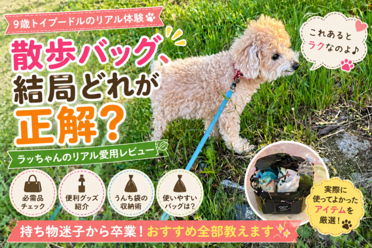 【トイプードル・小型犬向け】お散歩バッグおすすめ5選｜9歳シニア犬連れでも使いやすい選び方ガイド