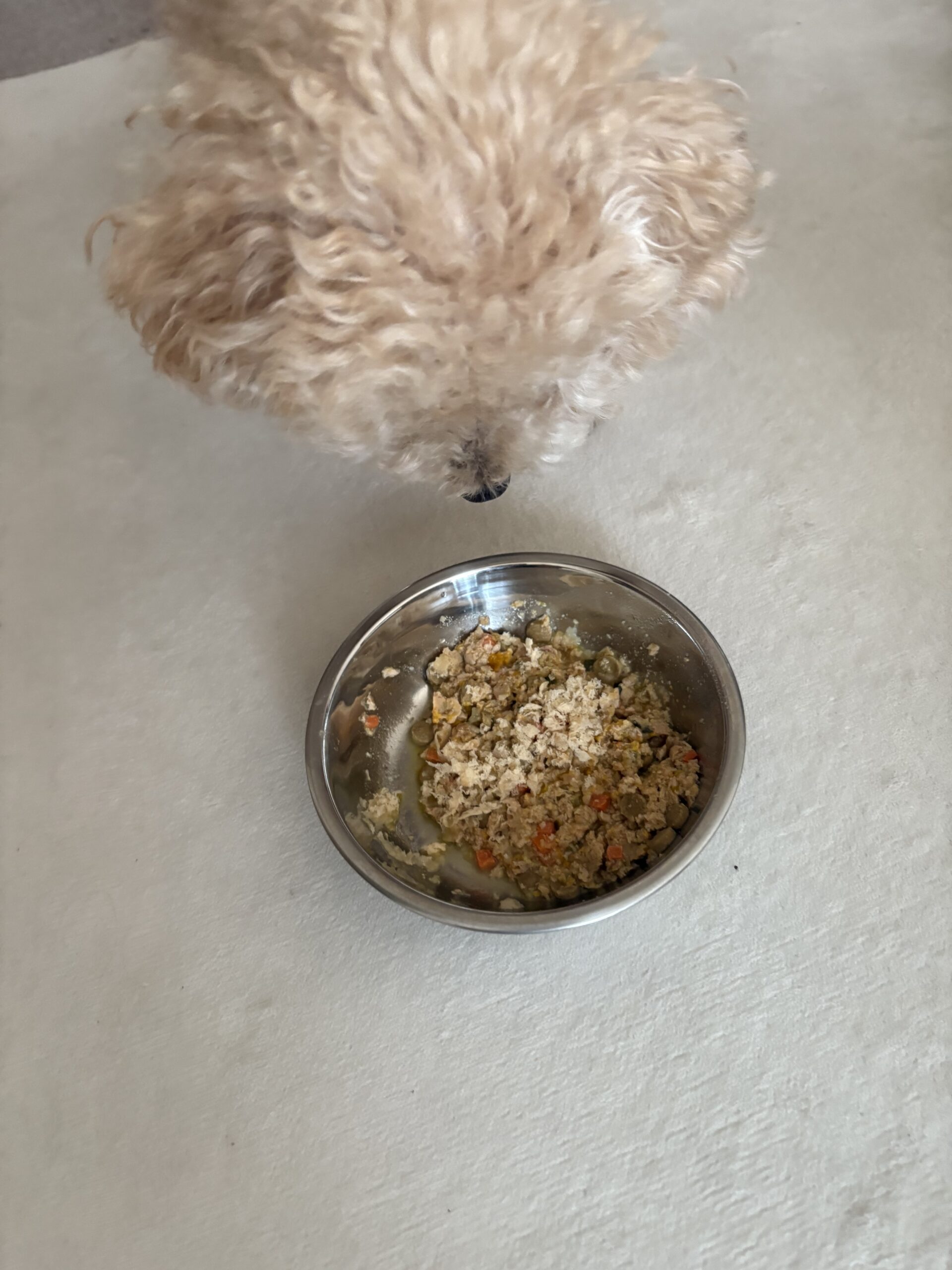 ラッちゃんがむしゃむしゃ食べているところ🐾