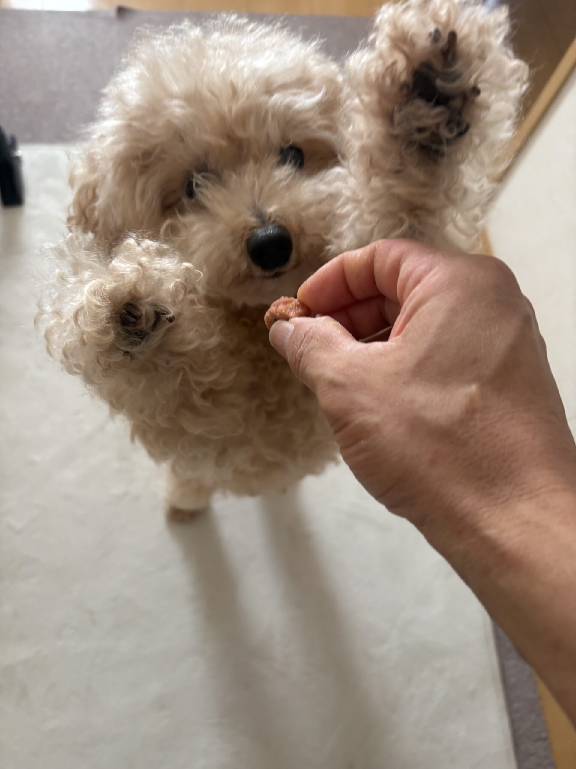 ラッちゃん
