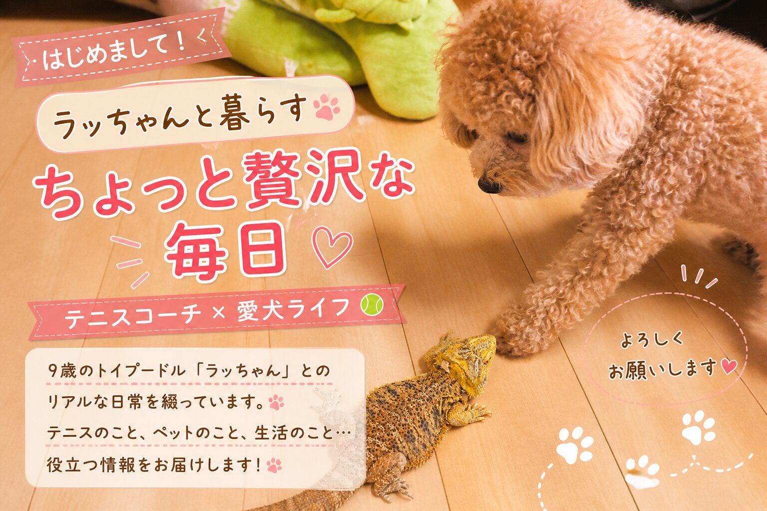 ラッちゃんのプロフィール｜ラッちゃんと暮らすちょっと贅沢な毎日